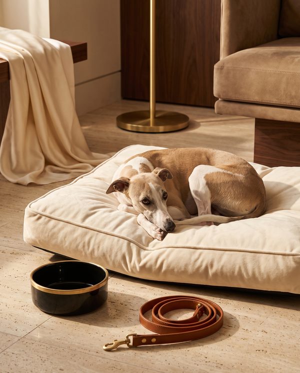 Pet Supplies at CORJZEN